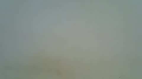 afronubians online show from March 6, 2025, 8:37 pm