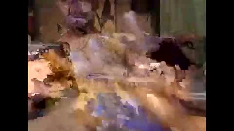 aftermathr3 online show from May 27, 2026, 5:37 am