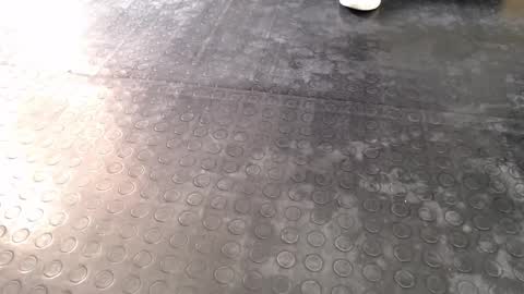  Miss Agata  online show from December 16, 2025, 6:57 pm