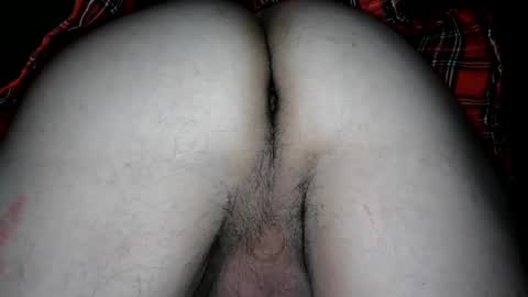 Snapshot of agent4005 chatting on February 11, 2025, 11:12 pm agent4005 online show from February 11, 2025, 11:12 pm