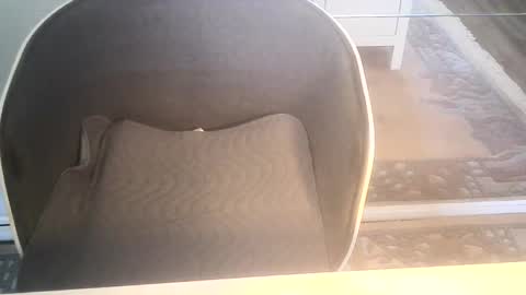 Snapshot of ahmole chatting on January 10, 2025, 9:34 am Ole online show from January 10, 2025, 9:34 am