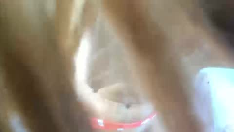 Snapshot of aisha_violeht chatting on February 25, 2026, 2:37 pm aisha_violeht online show from February 25, 2026, 2:37 pm