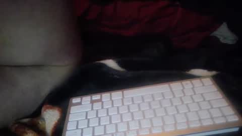 Snapshot of aken4it chatting on October 17, 2025, 7:27 pm aken4it online show from October 17, 2025, 7:27 pm