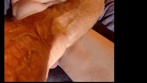 akiwi2 online show from December 20, 2024, 10:05 am