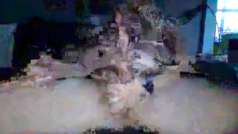 akpchi1984 online show from March 16, 2026, 11:42 pm