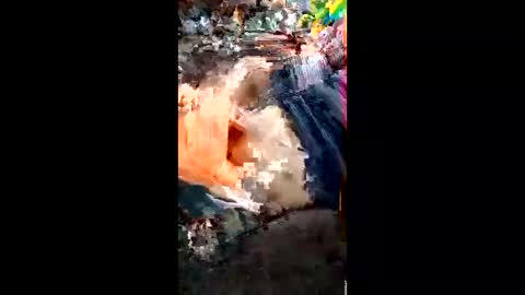 alagatorsnappnturtle671235 online show from April 18, 2026, 1:15 pm