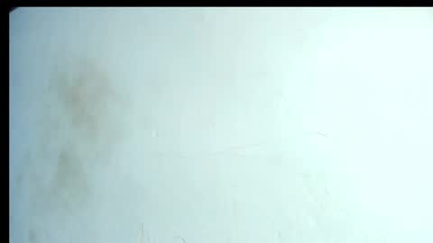 Snapshot of alahia66 chatting on April 21, 2026, 2:56 pm alahia66 online show from April 21, 2026, 2:56 pm