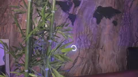 ALAHIA online show from January 13, 2026, 5:18 pm