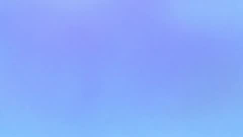 Alaia online show from November 1, 2025, 10:01 pm