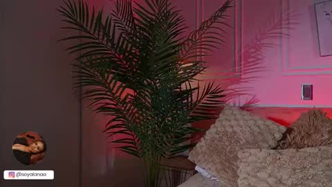 Alana online show from March 17, 2026, 3:11 am