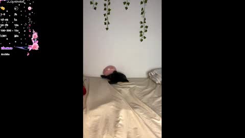 Alaska online show from February 25, 2025, 11:08 am