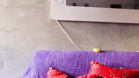 Snapshot of alasska_18 chatting on October 25, 2025, 10:04 pm alasska_18 online show from October 25, 2025, 10:04 pm