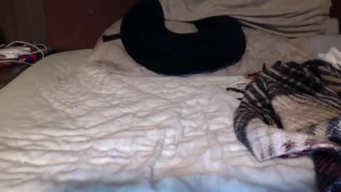 Snapshot of albertalbert9 chatting on December 13, 2024, 7:25 am albertalbert9 online show from December 13, 2024, 7:25 am