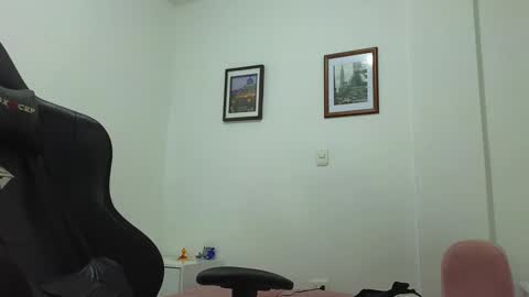 Snapshot of alejandroo_7 chatting on December 22, 2024, 12:17 am alejandroo_7 online show from December 22, 2024, 12:17 am