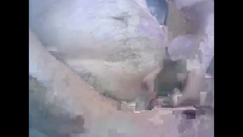 aleksandarcoabatica online show from October 22, 2025, 8:58 am