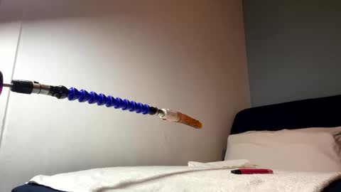 alesioale online show from November 4, 2025, 10:14 am