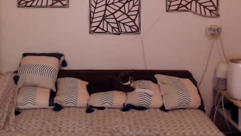 Sandra online show from February 25, 2025, 8:09 pm