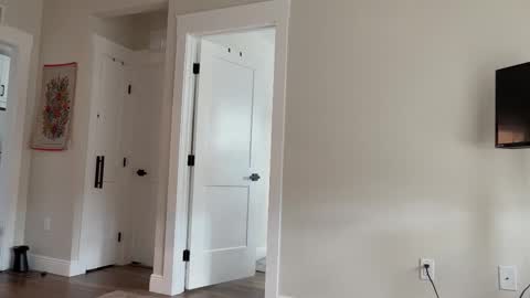 alex  online show from October 22, 2025, 6:51 pm