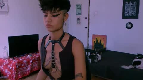 Alex online show from December 19, 2025, 7:43 pm