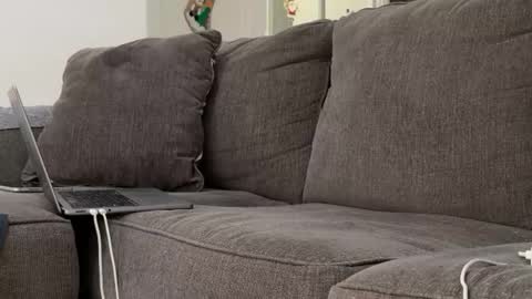 Snapshot of alex_ruiz_ chatting on November 3, 2025, 6:53 pm Alex online show from November 3, 2025, 6:53 pm