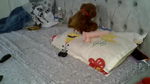 Alexa online show from February 16, 2025, 3:05 pm