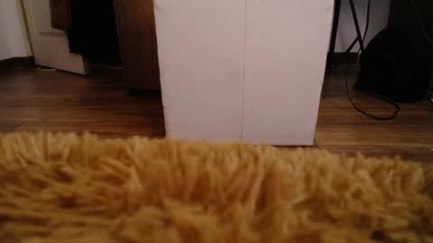 Alexa Moon online show from December 10, 2024, 5:44 pm