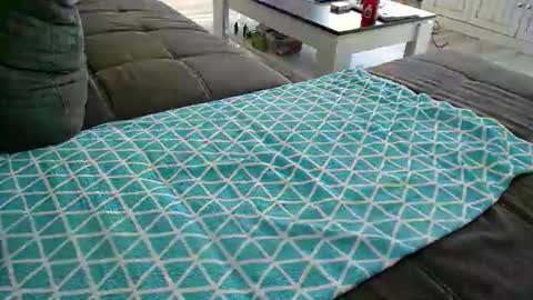 Doggystyle online show from December 24, 2024, 11:49 am