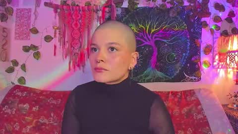 Alex online show from January 14, 2026, 2:50 am