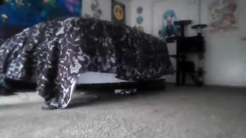 Alex Vines online show from March 14, 2026, 3:50 pm