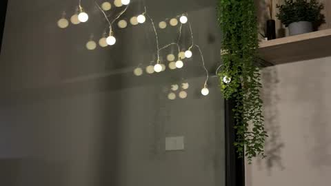 Snapshot of alexwos chatting on January 23, 2025, 6:17 am Alex online show from January 23, 2025, 6:17 am