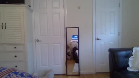 Snapshot of alfal21 chatting on May 7, 2026, 9:42 pm alfal21 online show from May 7, 2026, 9:42 pm
