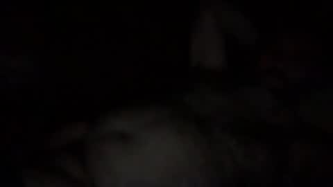 alfali online show from December 3, 2025, 10:08 pm