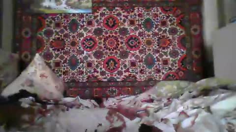 Snapshot of alferezsolvajo chatting on July 22, 2026, 7:11 am alferezsolvajo online show from July 22, 2026, 7:11 am
