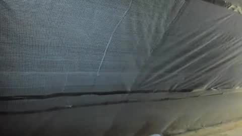 alfiesolomons87 online show from October 2, 2025, 12:12 pm