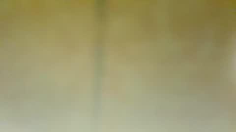 Snapshot of alfonsogomez110 chatting on January 22, 2025, 5:28 pm Alfonso Gomez online show from January 22, 2025, 5:28 pm