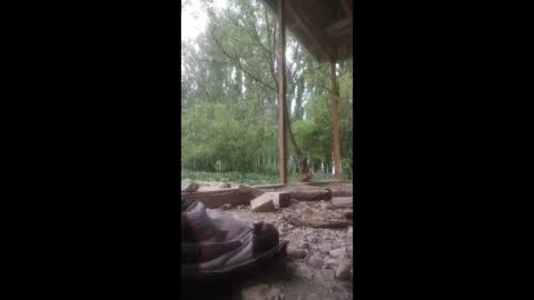 ali266113 online show from April 23, 2026, 6:25 am