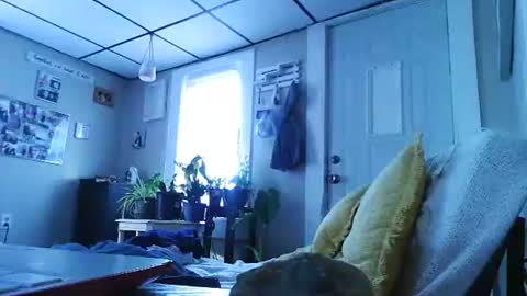 ali_tayler online show from November 8, 2025, 1:44 pm