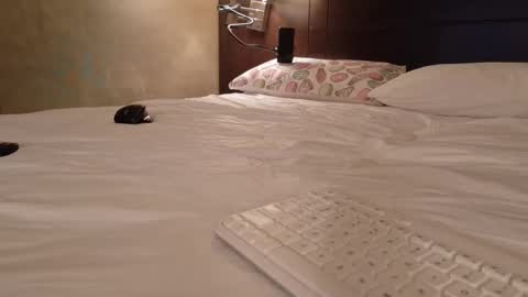 Snapshot of aliasalien008 chatting on February 15, 2026, 11:01 pm Daddy Girls online show from February 15, 2026, 11:01 pm