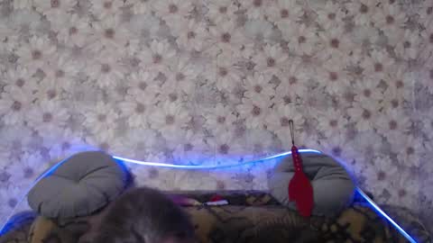 Snapshot of alice_longstocking chatting on December 22, 2025, 10:51 pm alice longstocking online show from December 22, 2025, 10:51 pm