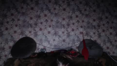 Snapshot of alice_longstocking chatting on February 7, 2026, 3:38 pm alice longstocking online show from February 7, 2026, 3:38 pm