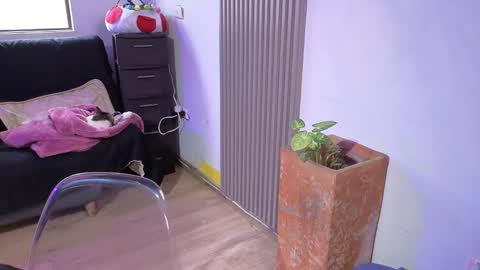 Alice online show from December 18, 2025, 1:39 pm