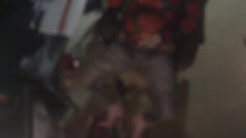 Snapshot of aliceleemcgee chatting on February 22, 2026, 10:36 am aliceleemcgee online show from February 22, 2026, 10:36 am