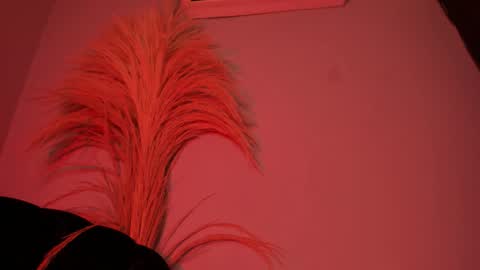 ALICE  online show from October 25, 2025, 3:14 am