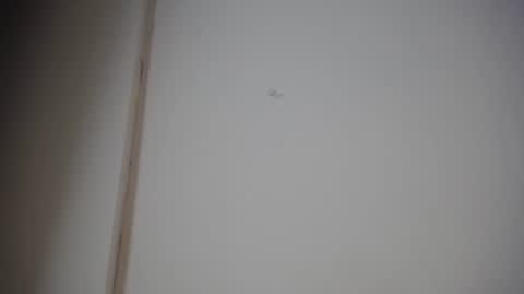 Ali online show from January 10, 2025, 12:15 pm