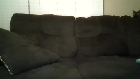 Snapshot of aliendick2274 chatting on February 24, 2026, 8:23 am aliendick2274 online show from February 24, 2026, 8:23 am