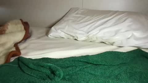 Snapshot of aliroxy28 chatting on October 16, 2025, 3:02 pm Ali Roxy online show from October 16, 2025, 3:02 pm