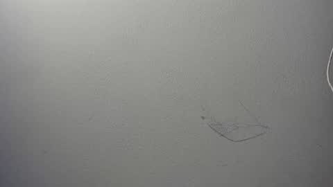 alison smith online show from January 4, 2025, 6:51 pm