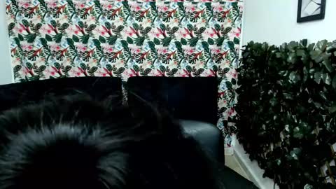 Snapshot of alisonn_hot chatting on March 8, 2025, 5:28 am ALISSON HOT online show from March 8, 2025, 5:28 am