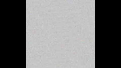 Alisse online show from February 16, 2026, 12:01 pm