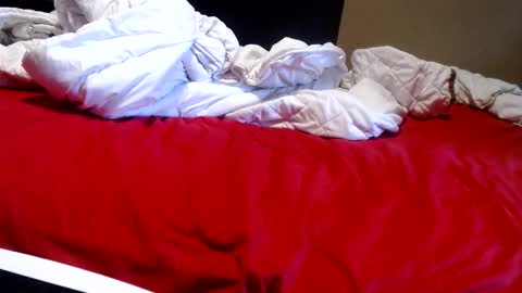 Snapshot of alissonnat chatting on May 20, 2026, 7:36 am Alissonnat online show from May 20, 2026, 7:36 am